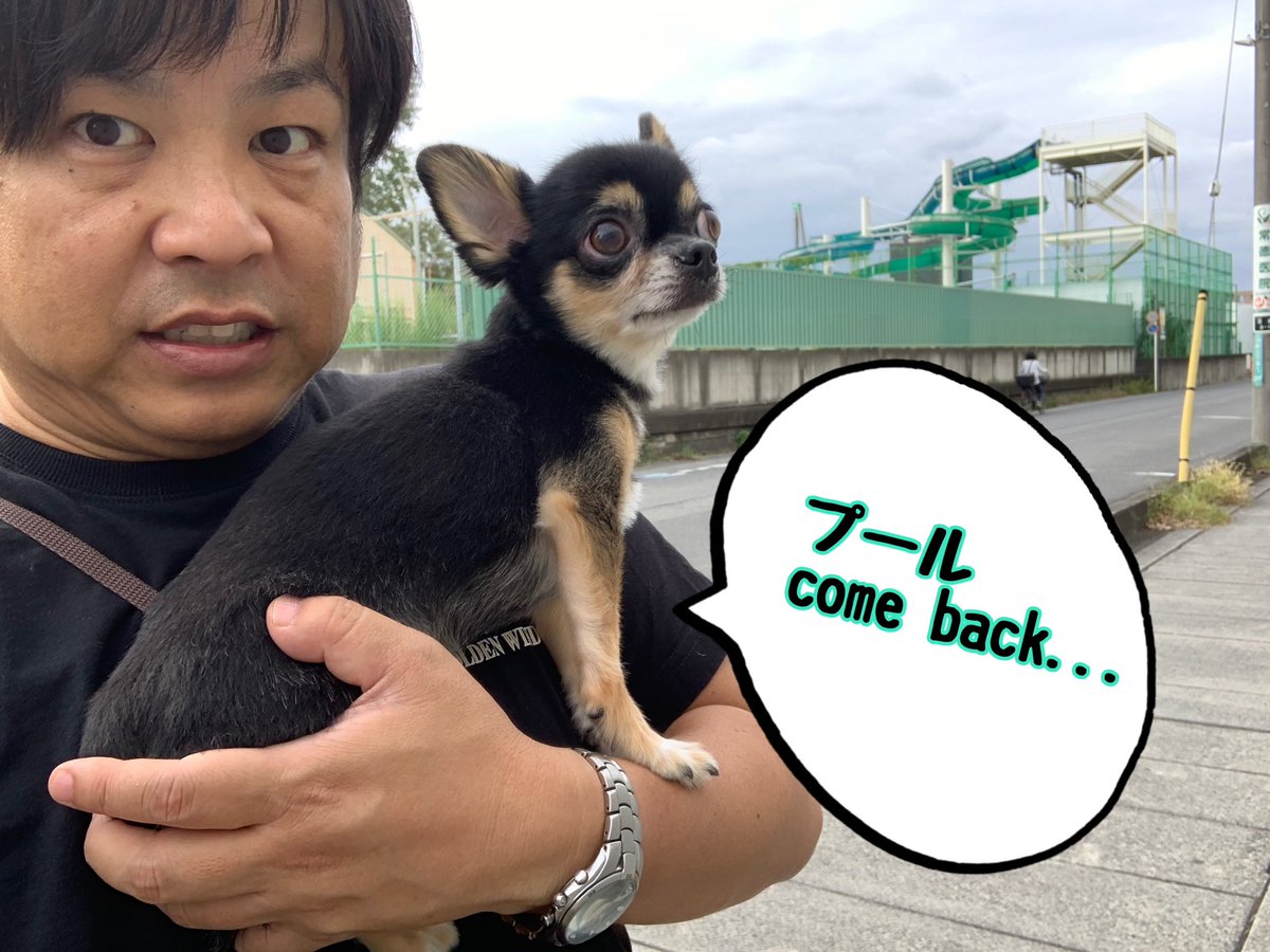 OIP402's tweet photo. #沼影市民プール #ウオータースライダー
#happy #happytogether # #chihuahua #chihuahuastagram #チワワ #チワワと私 #dog #dogsofinstagram #dogstagram #idolhappiness #oip40 #chihuahualife #dogphotography #dogphoto #dogandme #buddy #handsome #ブラックタンチワワ #sosad https://t.co/122hpBibEc