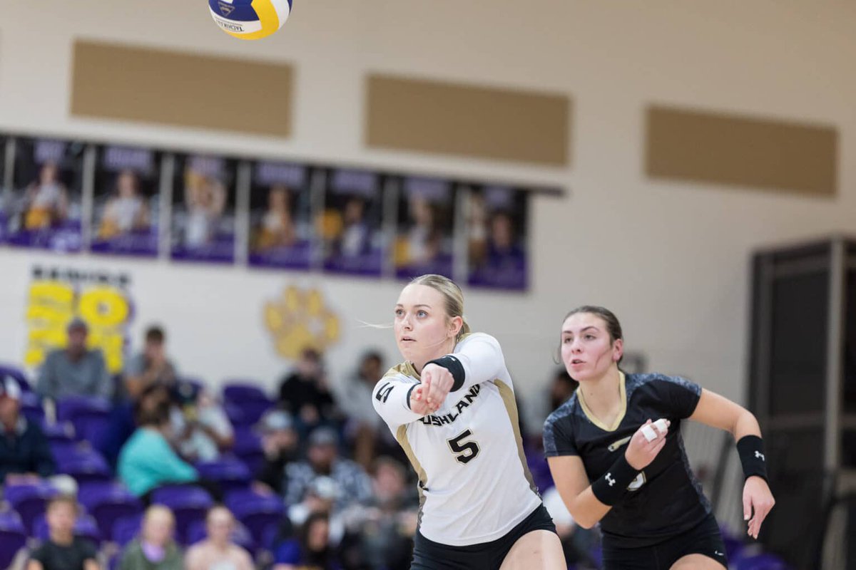 PressPassSports's tweet photo. High School 🏐 district roundup .. 
- Tascosa secures second place in 3-5A
- West Plains clinches share of 4-4A title 
- Vega claims 1-2A title 
- 1-1A is wild 
#txhsvb 
🔗 https://t.co/aLYSZnj7oL https://t.co/iVxcoGW9HX