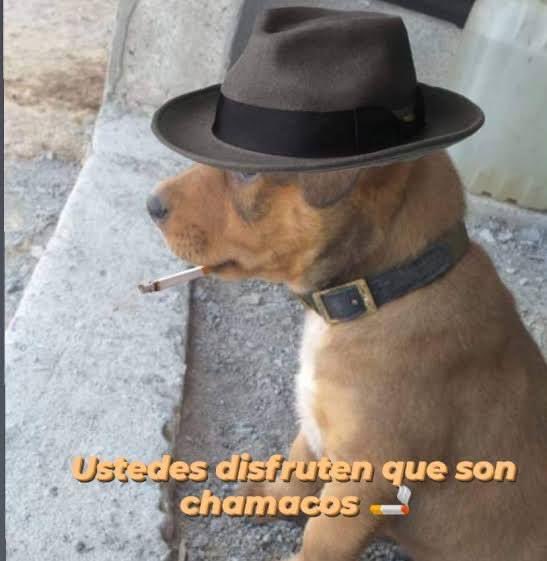 soyMargarlto's tweet photo. Soy https://t.co/3Q4L0nkadR
