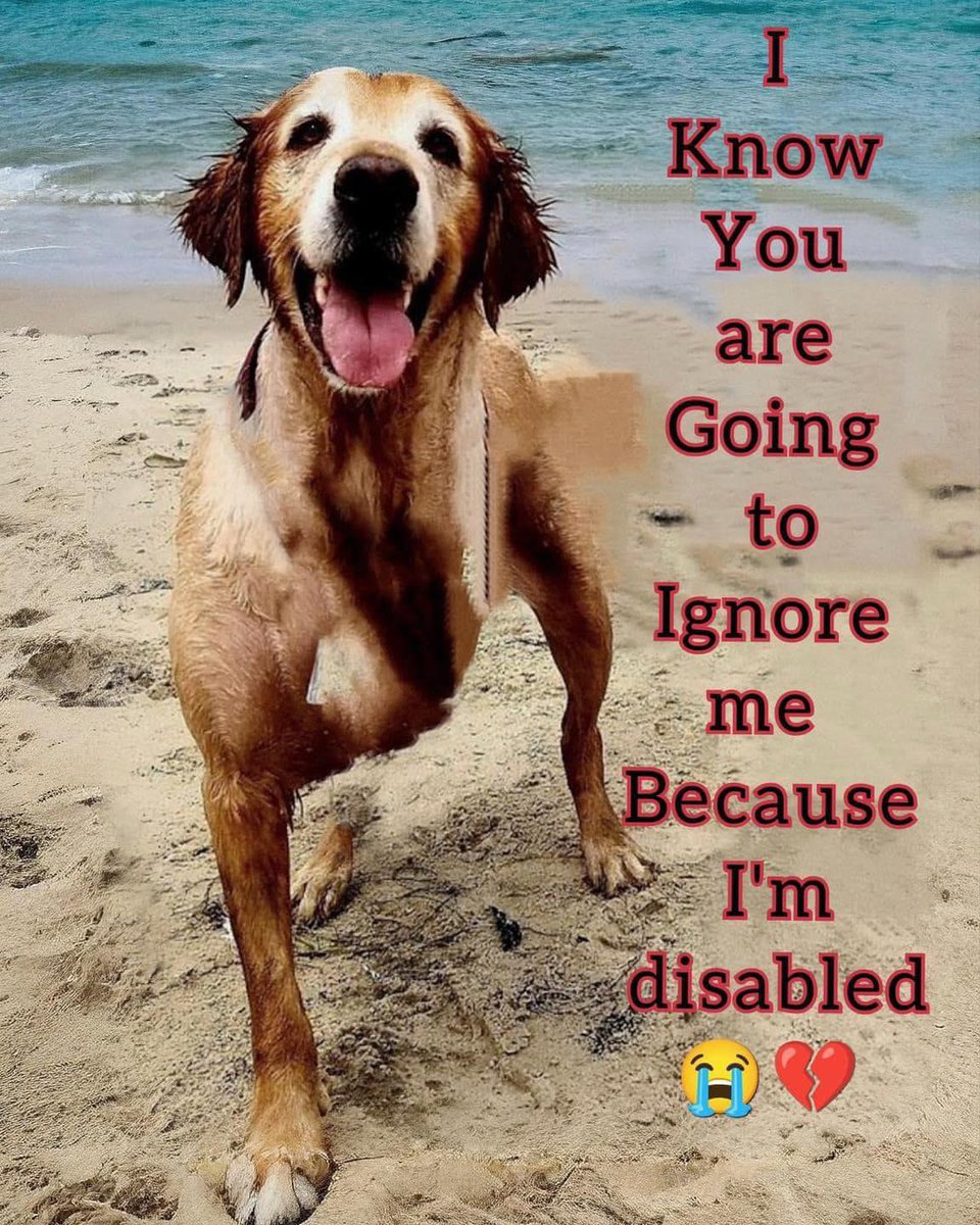 I know you are going to ignore me 🥺🥺 Because I'm disabled 💔