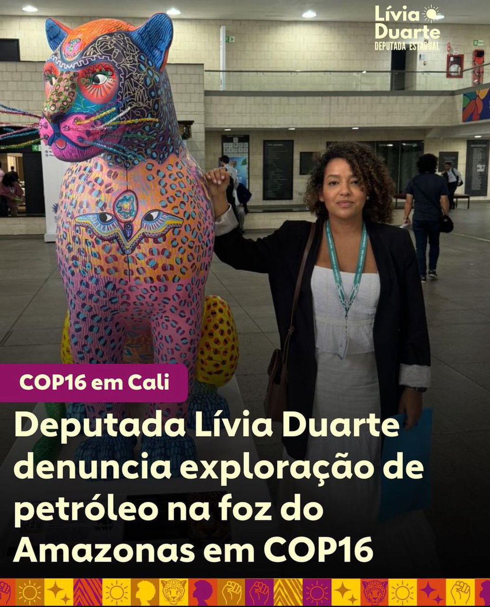 É bom lembrar a Deputada que quem deve decidir sobre o futuro do Amapá é o seu próprio povo. O Pará tem muito a aprender conosco sobre preservação ambiental, não é mesmo? Vamos falar a respeito!