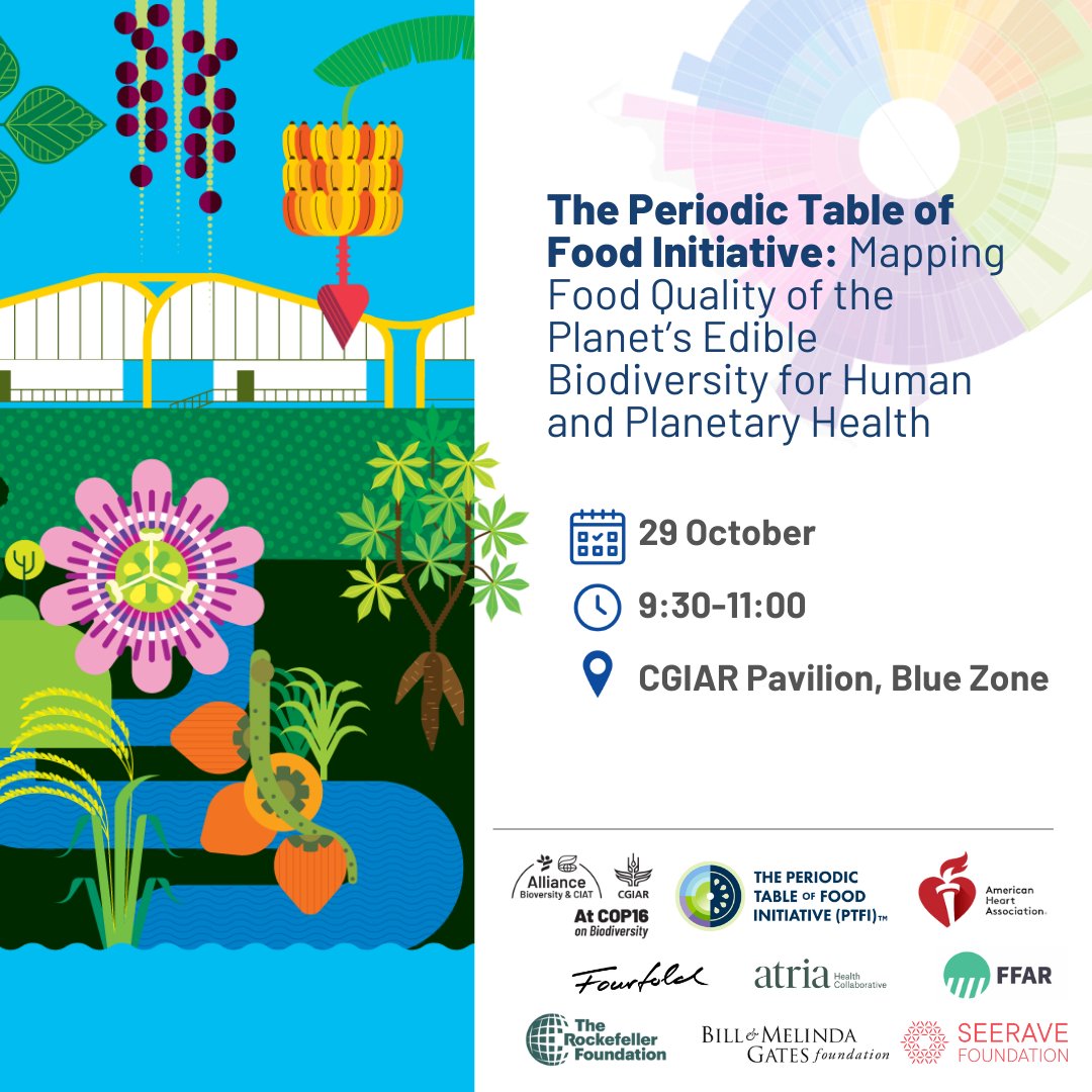 Alliance of Bioversity International and CIAT (@biovintciat_eng) on Twitter photo There is still much to discover about our food #biodiversity and how to make the most of it. Join us to explore the incredible work of the #PTFI in mapping food quality and sharing this knowledge.
📅 Oct 29, 9:30 - 11:00 COT
📍 <a href="/CGIAR/">CGIAR</a> Pavilion & online
ℹ️ alliancebioversityciat.org/events/allianc… There is still much to discover about our food #biodiversity and how to make the most of it. Join us to explore the incredible work of the #PTFI in mapping food quality and sharing this knowledge.
📅 Oct 29, 9:30 - 11:00 COT
📍 <a href="/CGIAR/">CGIAR</a> Pavilion & online
ℹ️ alliancebioversityciat.org/events/allianc…