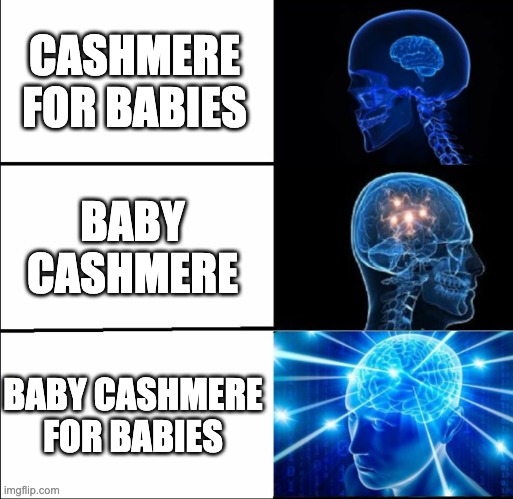 Max Chiswick tweet media