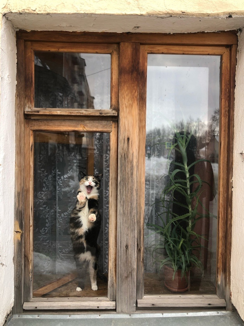 poetical photos. (@poeticalphotos) on Twitter photo 