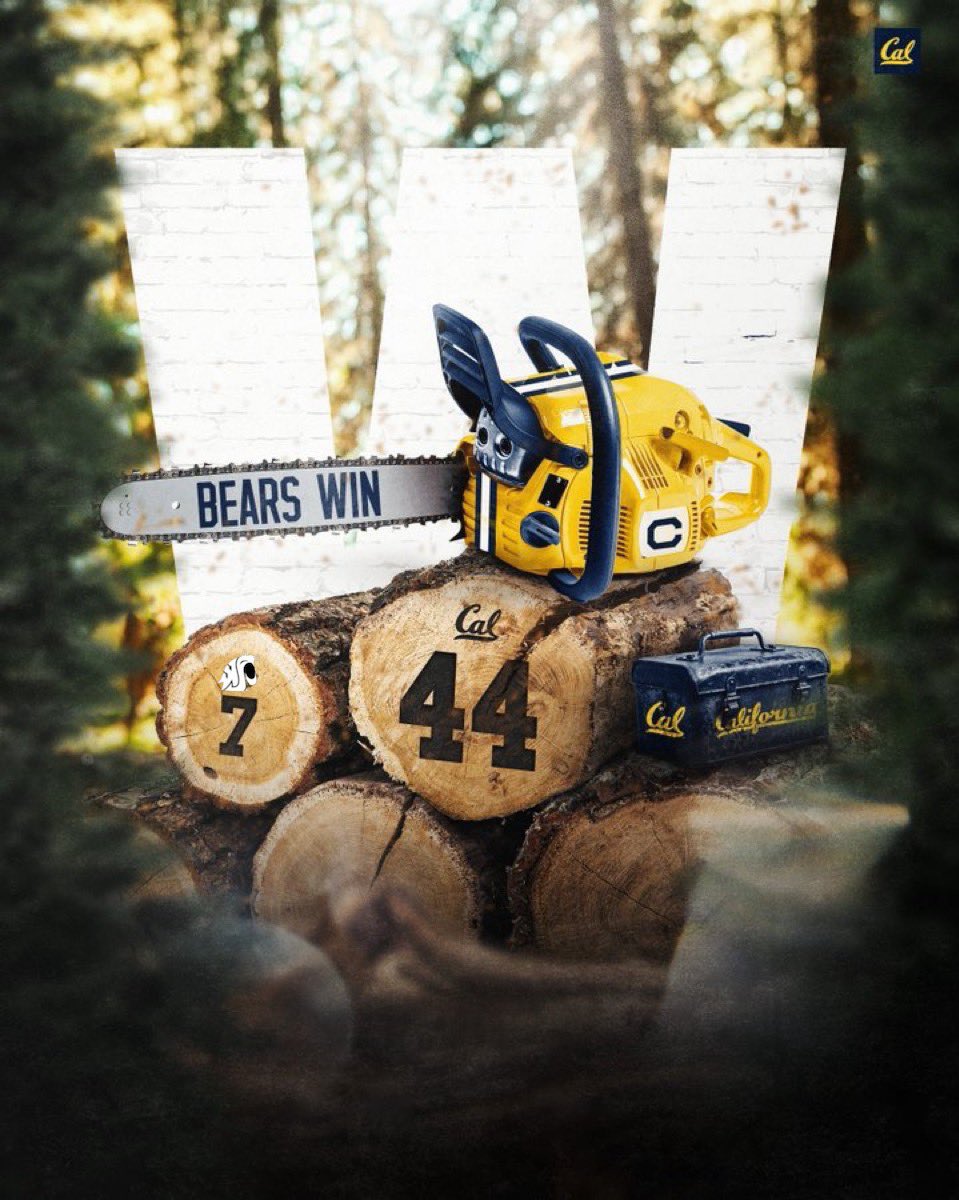 CaI Football tweet media