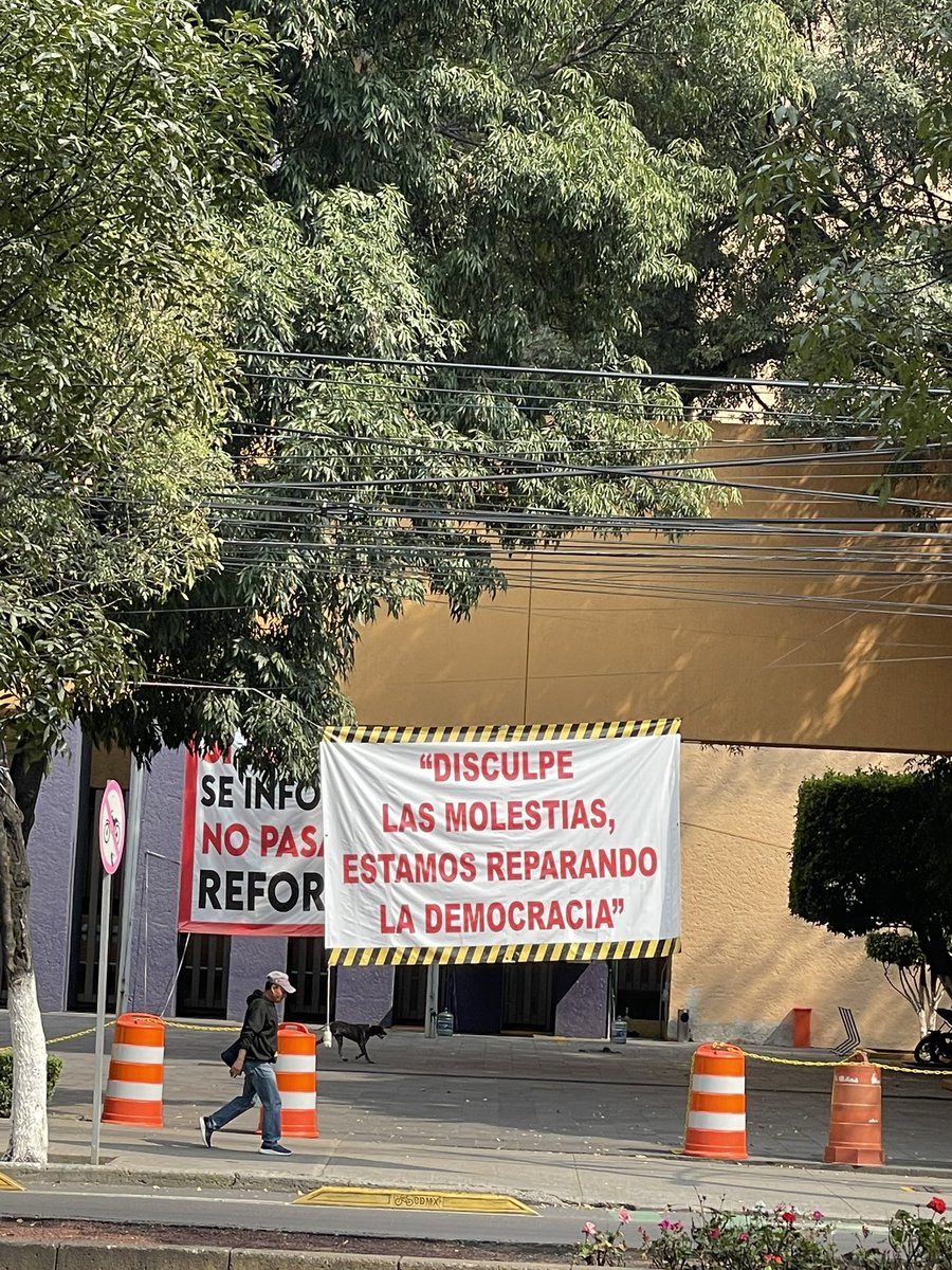 Flavia Freidenberg (@flaviafrei) on Twitter photo 