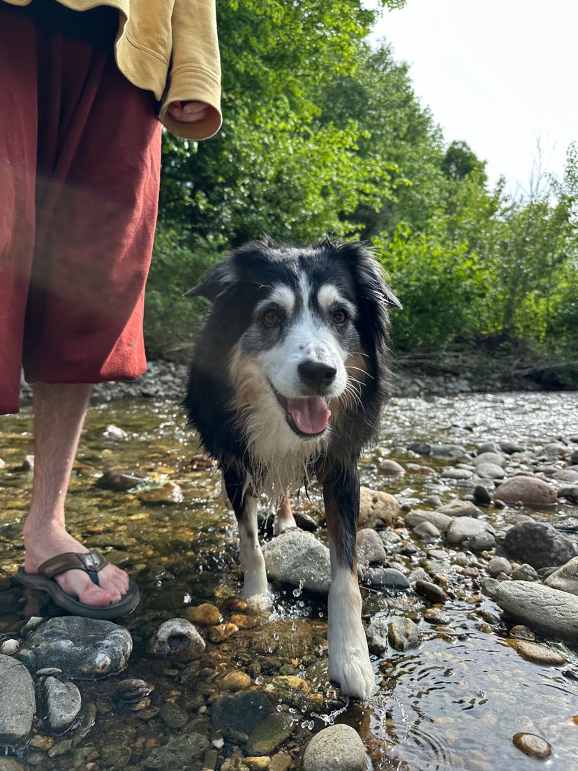 ttvLolo's tweet photo. My little baby rooger turned 11 today 🥹 https://t.co/eHisuX6daH