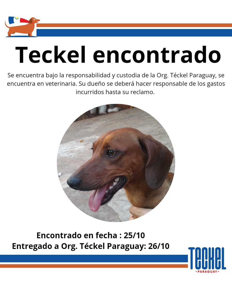 Una pata de ayuda #compartiendo este afiche, el propietario puede ponerse en comunicación por nuestro Instagram Teckel Paraguay