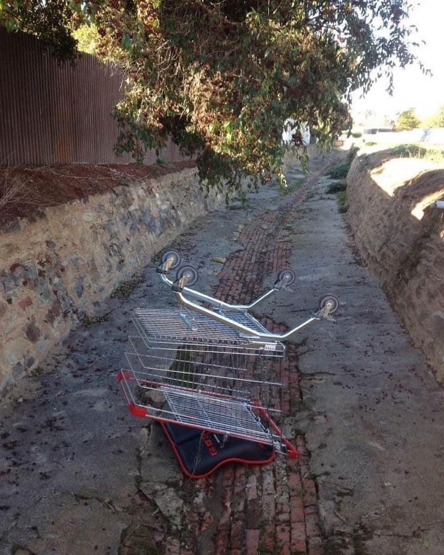schitzoziris's tweet image. G’day #ElonMusk we have the same problem here in Australia ! I blame consumerism ! We turn them into #Housos Barbecues !