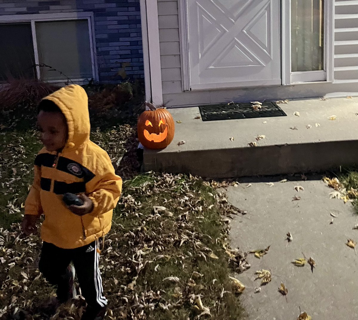 rogebre's tweet photo. We carved our first pumpkin 🎃 

Someone wasn’t a fan of the insides 😂 https://t.co/V1Oi6ikYCQ