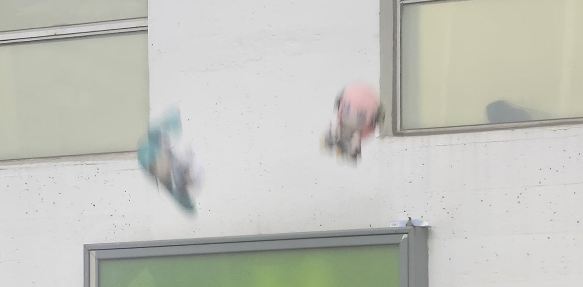 eternal_h_'s tweet photo. Miku expo is miles better than I could’ve imagined 
Got some great pics with my Luka Fumo
I’m so glad they changed the setlist a bit I was legit screaming when some songs came on🥹
Time for MCM tmr🫡
#MIKUEXPO2024 
#MIKUEXPOLONDON https://t.co/LyK8AdgxI1