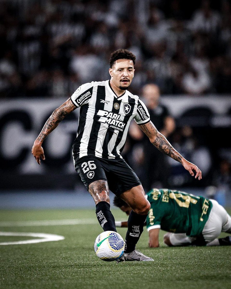 PITBULL 🐶🔥