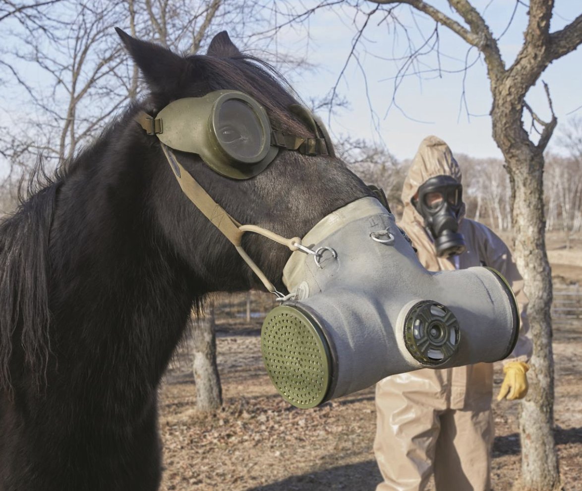 Mrgunsngear's tweet photo. Surplus Romanian horse gas masks for $69/ea currently here: https://t.co/sIHuEHauO0

I didn't even know I needed this until now 😂🐴🤿

#horse #horses #romania https://t.co/1UCjUpkKro