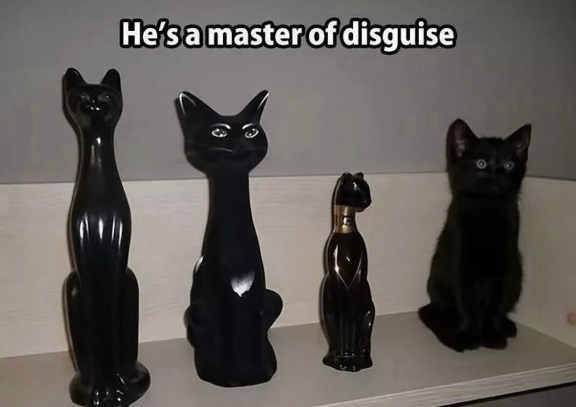 dcd728's tweet photo. When #kitty shows you he’s a #master of #disguise #catstatue https://t.co/8ZFlptmaRz