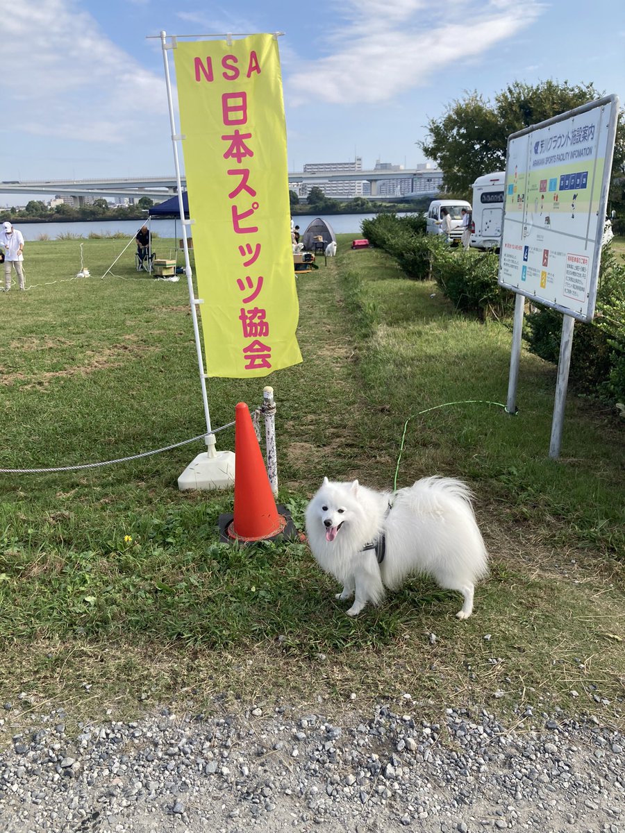 日本スピッツ協会(公式) (@8TjcitV3sou2YSs) / Posts / X