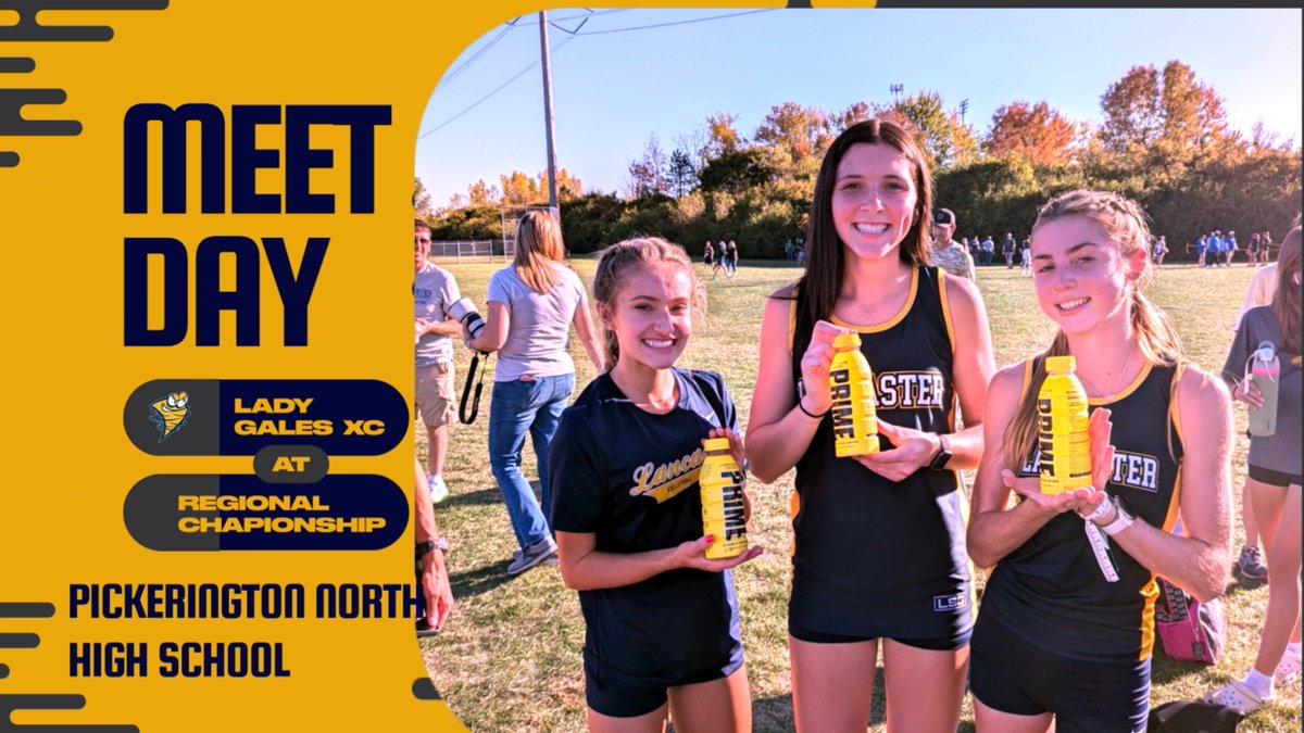 Lady Gales Throws (@lthrows) on Twitter photo 