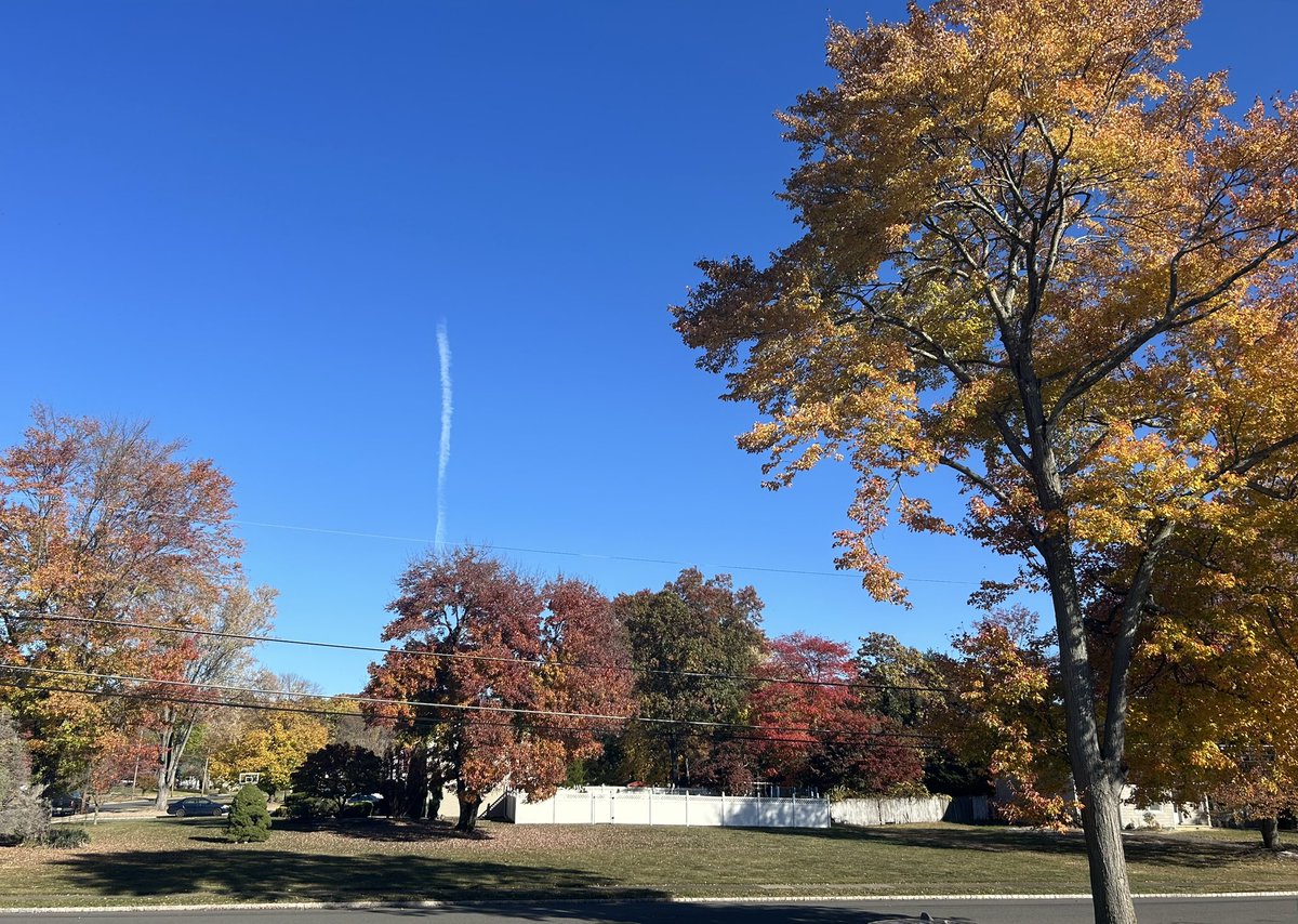 TPTurf's tweet image. One bright side to barely getting any rain this fall is the spectacular fall foliage. By far the most beautiful year in the last 5-6 years or so. Photo doesn’t do it justice.