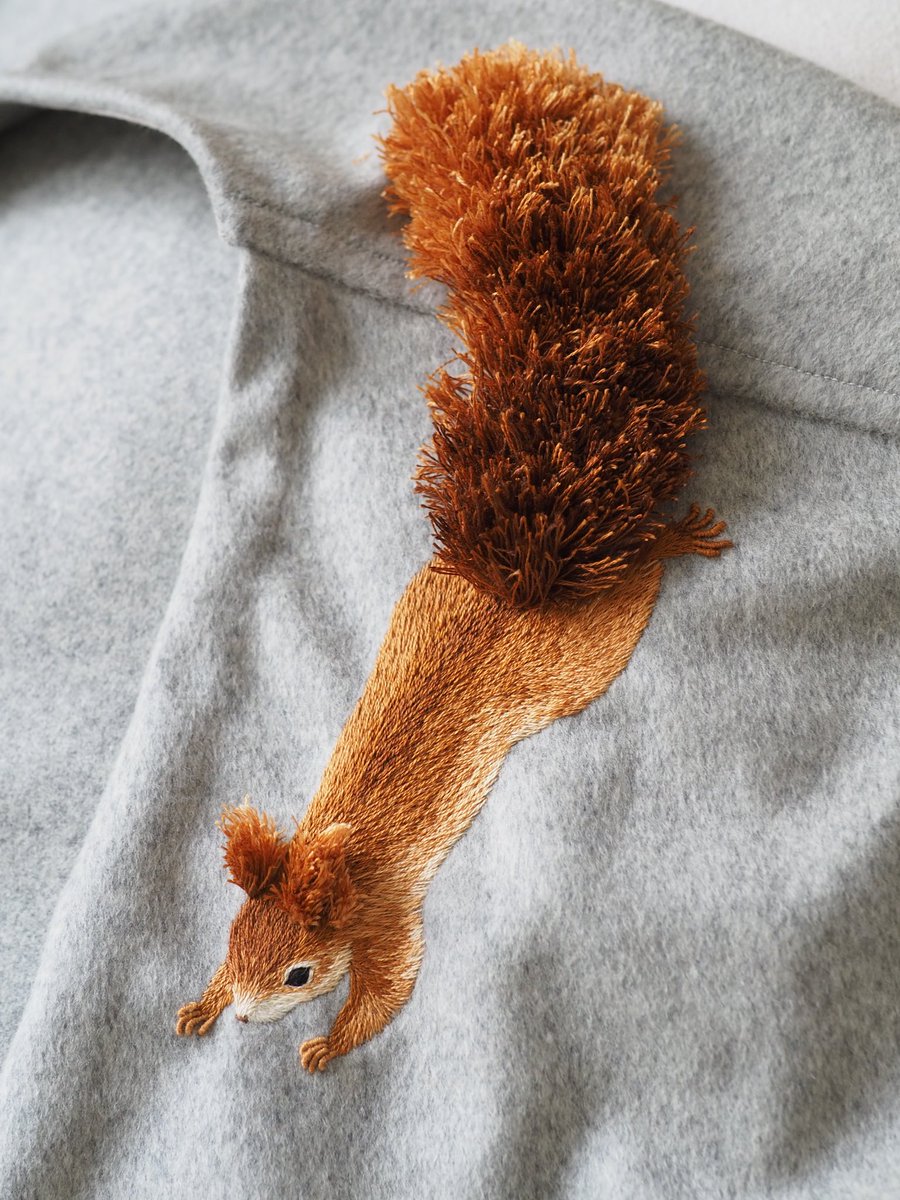 ことしもリスの季節がやってきました🐿️
最初にやってきてくれたのは、朝日を浴びて栗色に輝く毛並みの子