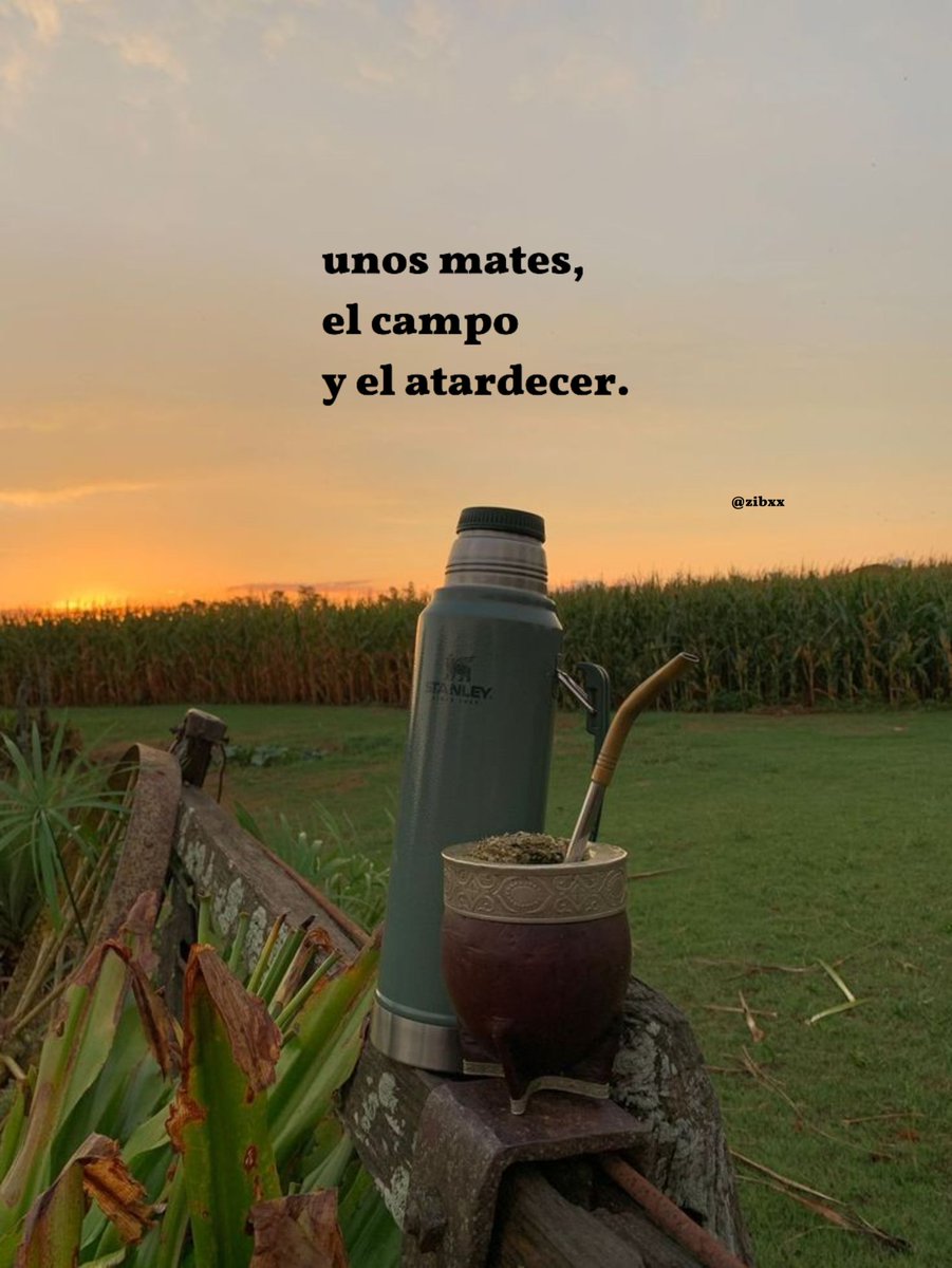 zibá (@zibxx) on Twitter photo 