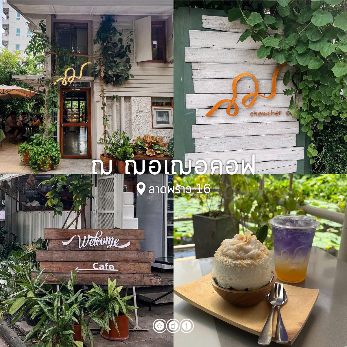 edtguide tweet media