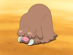 PokemonGems's tweet photo. https://t.co/y5m0FBUWac