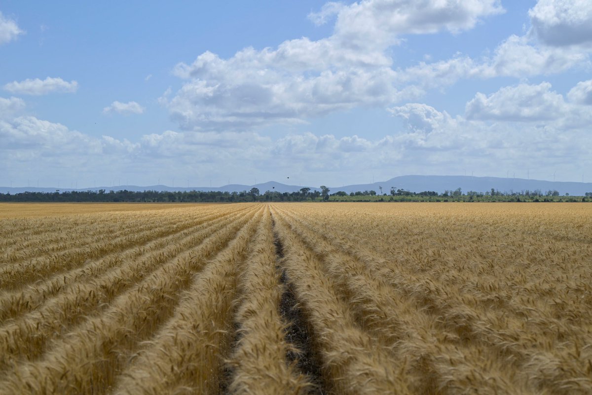 downtoearthjadma tweet media