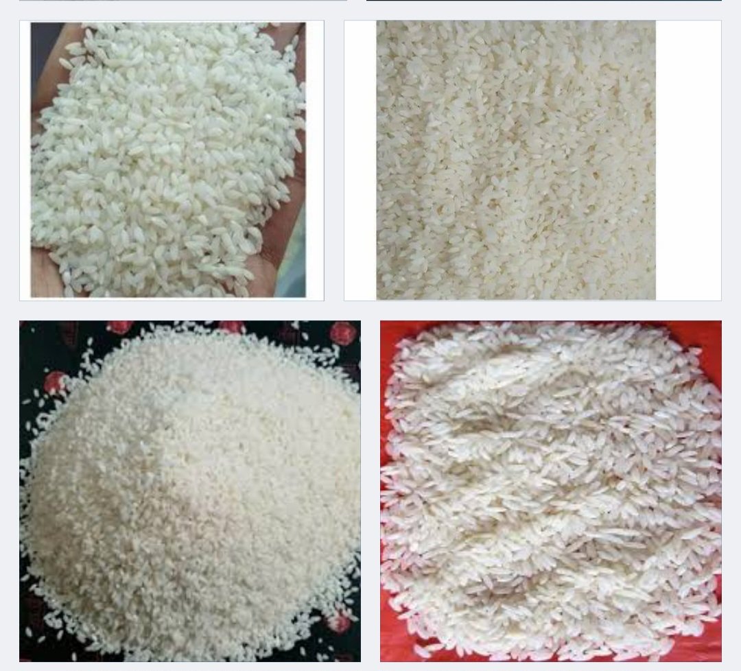 Indian Origin Chinigura Rice, Jeera Rice, Basmati, Polau, Biryani, Puffed, Gobindo Bhog, IR54, Broken etc. All Types of Rice Available for Export-Import Business Only.

Door to Door, Video Call Purchase, GST Refund Facilities Available with Money &amp; Same Product Delivery Guarantee