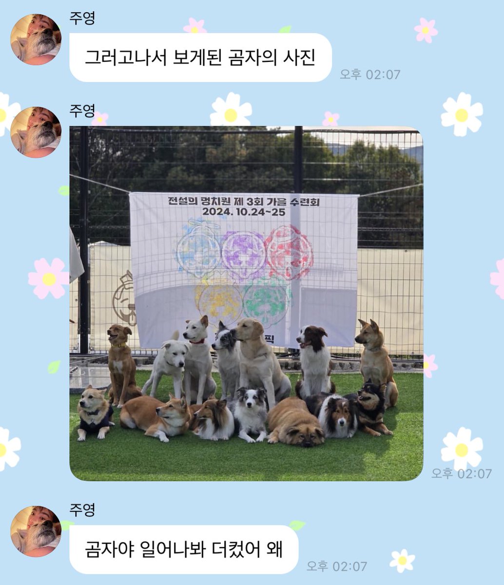 딩 tweet media