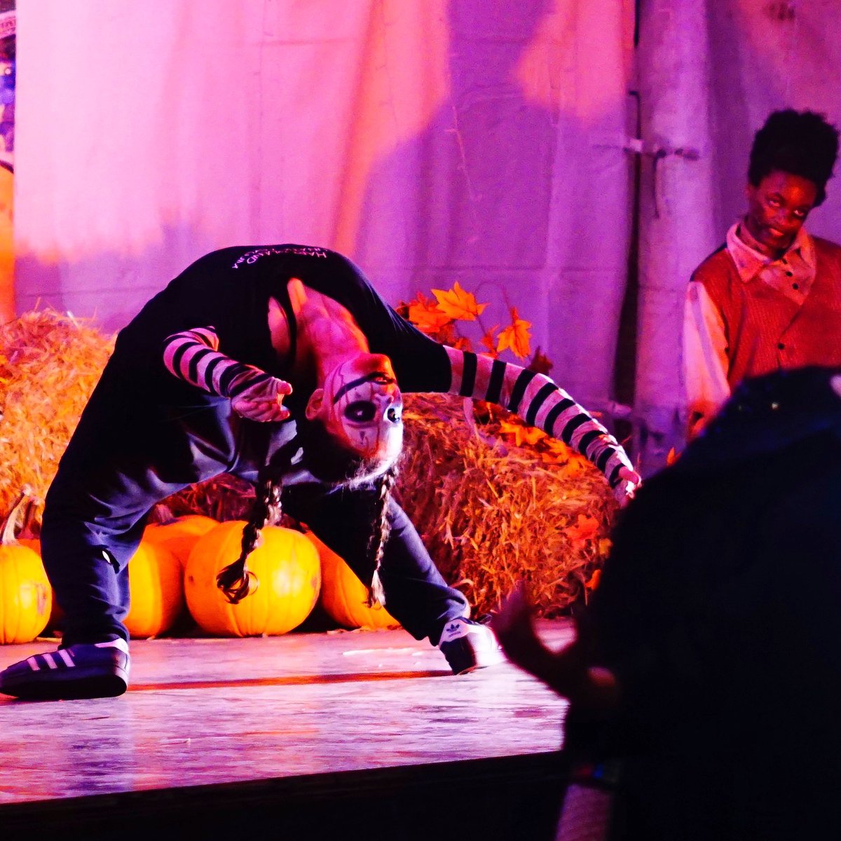 65rawbobO's tweet image. There’s a lot of crap in the world right now. But it all goes away when you get to watch your grandkid dance on stage. She’s pretty good. She must get it from me….