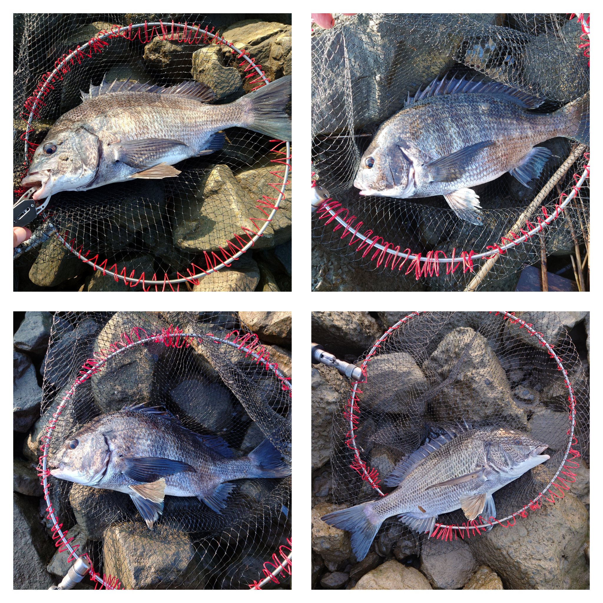 Fielder's Craftページです To Frame Sliders or Not To Frame Sliders, That Is The