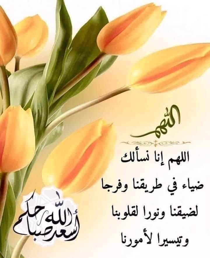 سالم ال سعد (@lolohsalem99) on Twitter photo 
