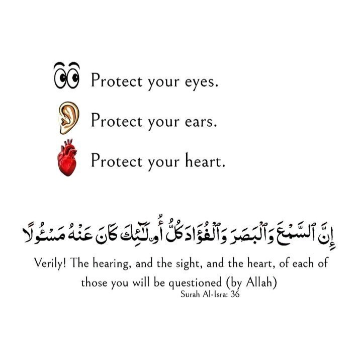 Al__Quraan's tweet photo. Protect https://t.co/gSGTIekK2a
