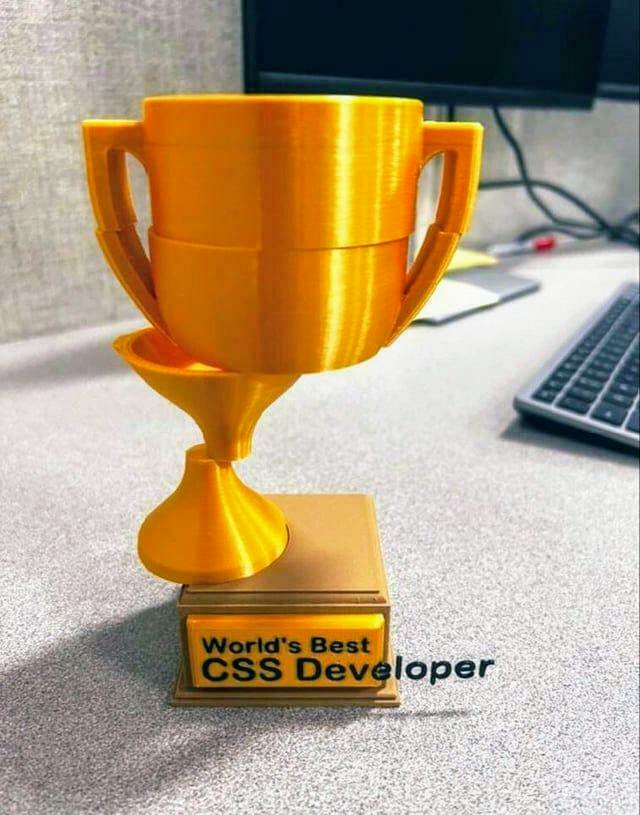 World's best CSS developer 😂
