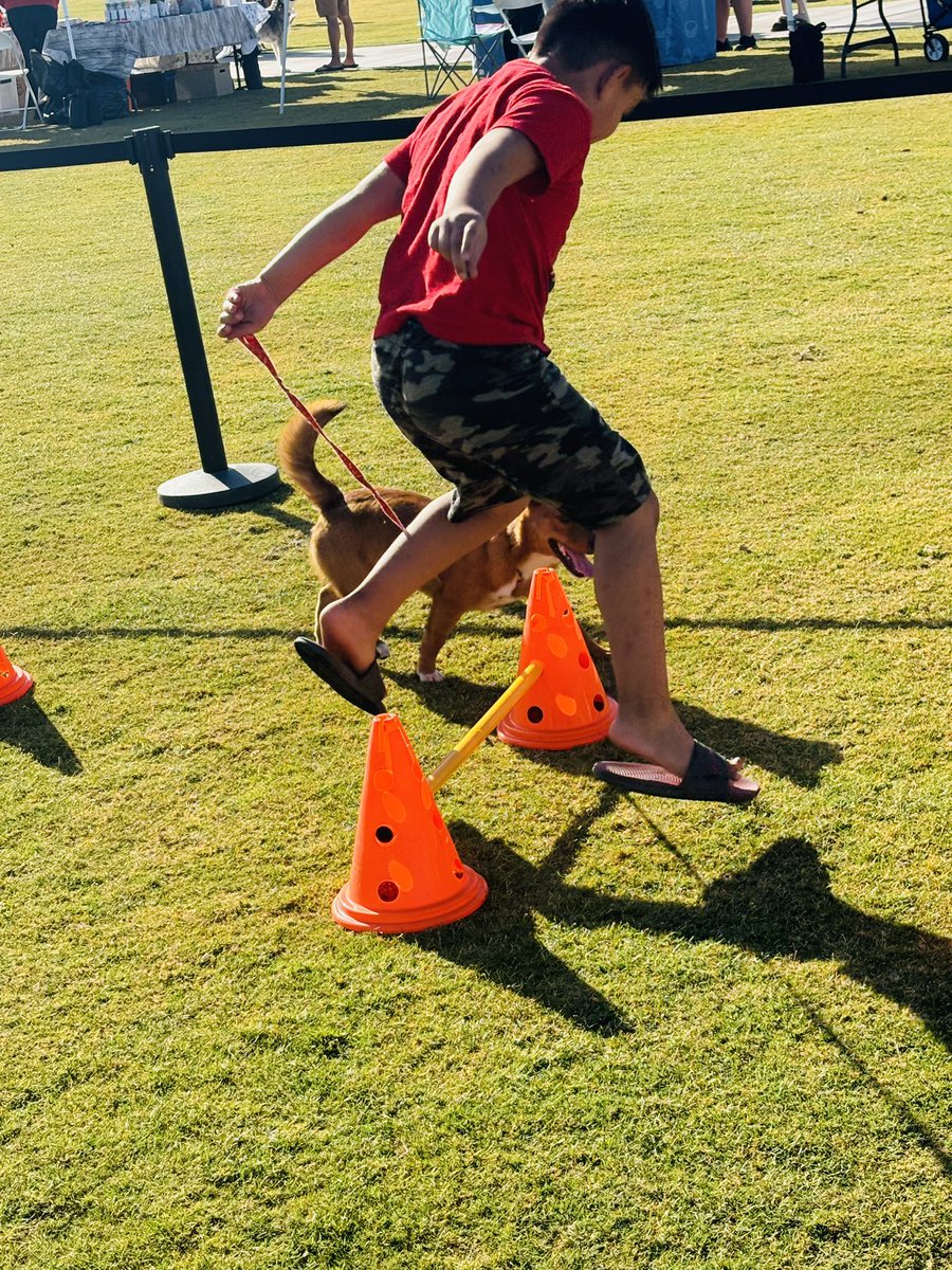 BarkBustersPhx's tweet photo. Fun event today at the Avondale Barks &amp; Treats Event. Lot of great costumes and fun on the #barkbusters agility fun rules as had by all

#dogtraining #barkbustersphoenix #doglover #dogevents https://t.co/wSHEzFZqGX