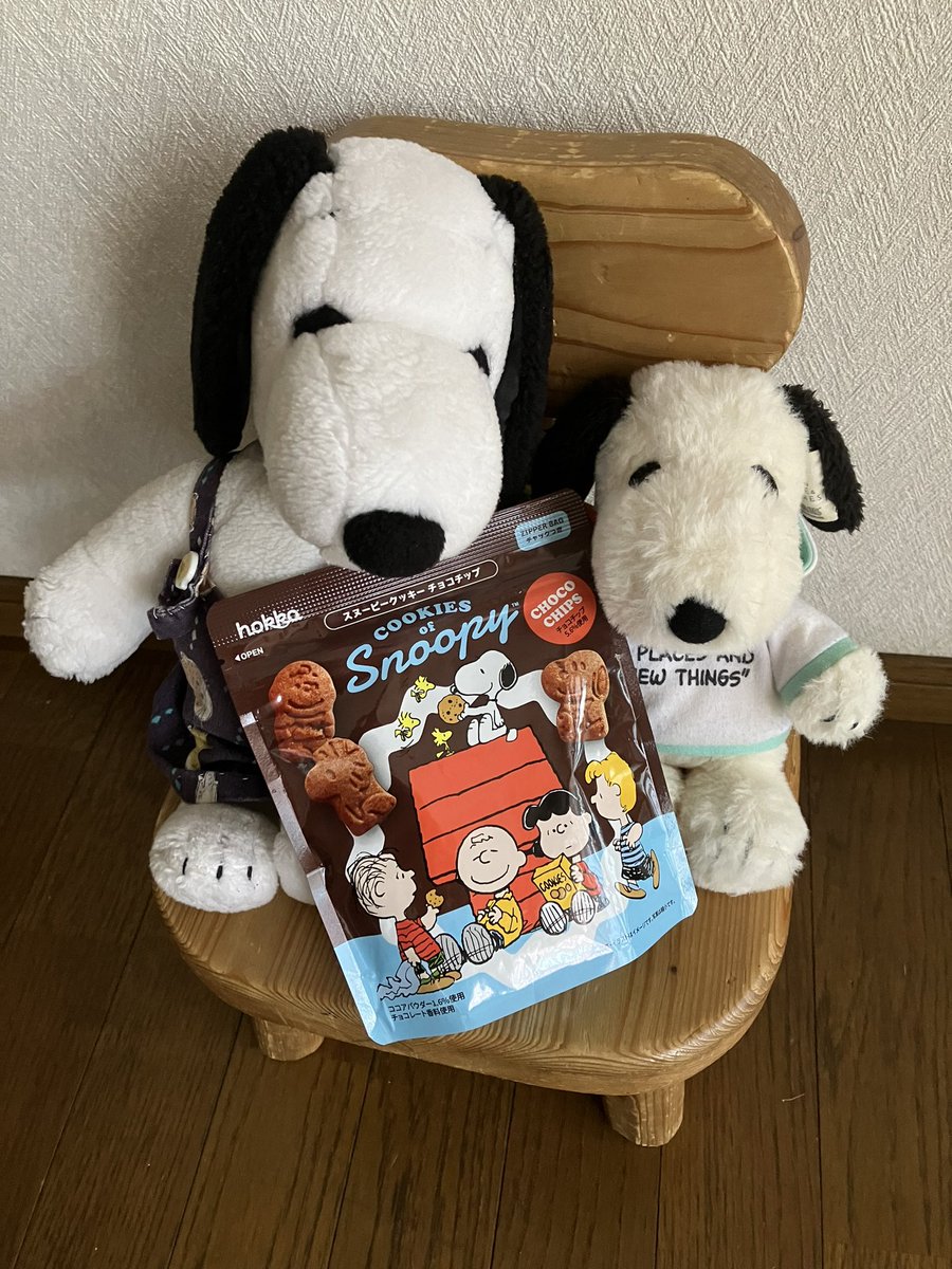 snoopy20211's tweet photo. 買ってもらったよ。スヌーピークッキー　
チョコチップ🍪 https://t.co/GkPy2anyHy