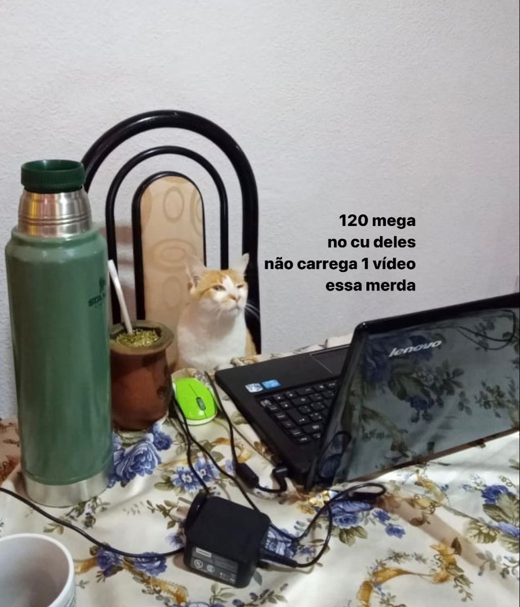 shitpostverdade's tweet photo. https://t.co/IO1lJ9inJM