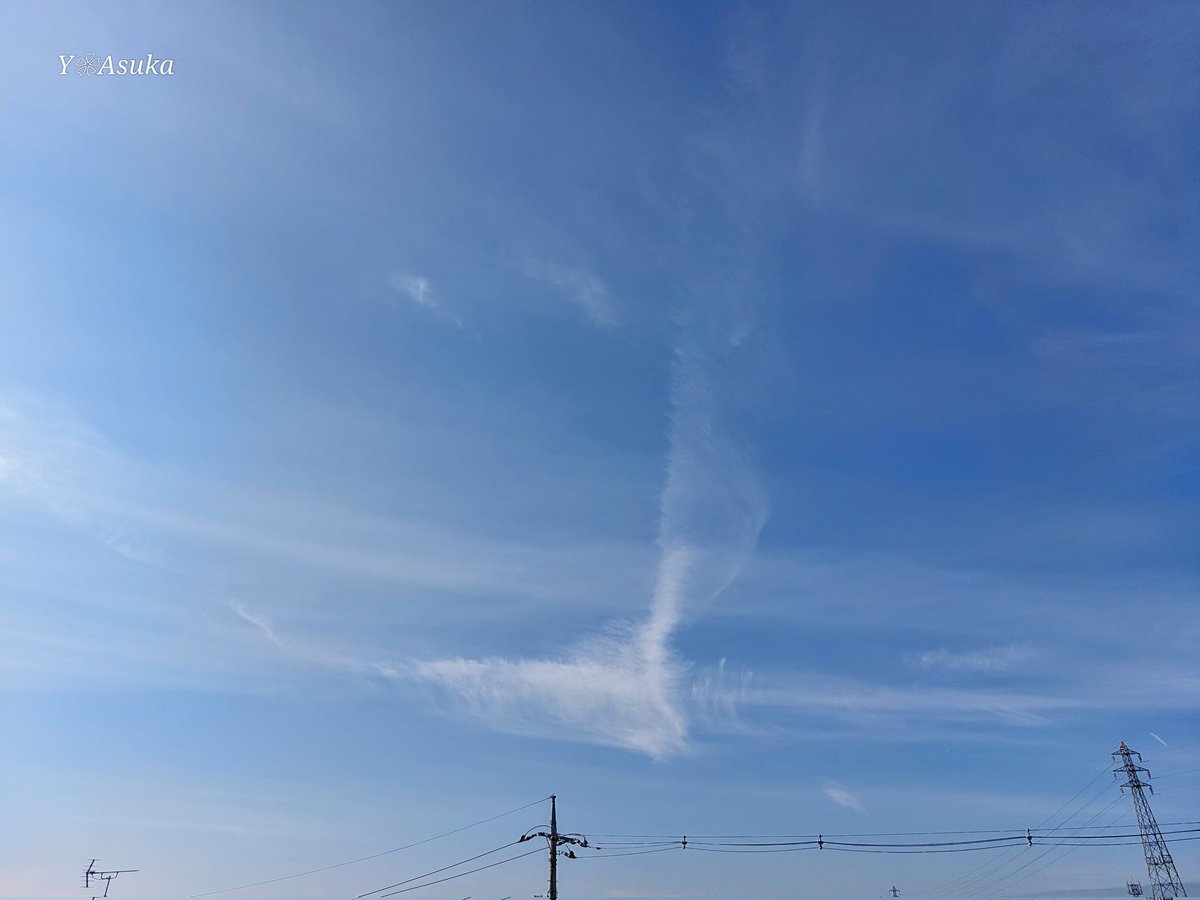 yumeasutw's tweet photo. 早朝の濃霧が晴れ山々から雲が立ち上ぼる日曜日の朝🌤️
#青空 に #薄雲 が広がり #ハロ が見えます✨
予想最高/最低気温🌡️23℃/13℃
晴れのち雨☀️→☔
日中は過ごしやすい陽気。午後は雲が多くなり夜は雨が降り出しそうです🌧️
#イマソラ
#空の名前
#天気の図鑑 #雲の超図鑑
#a2024 #a1027 #a202410 https://t.co/TYiK7ruZnZ