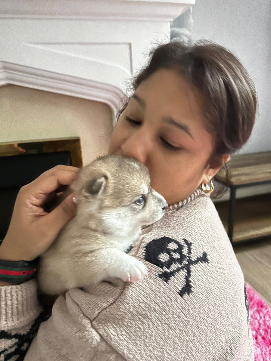 It’s been a wild weekend! Lecturing on Mother/Daughter Trauma in Horror with <a href="/cine_excess/">Cine-Excess</a>, having an excellent time at <a href="/sheffhorrorfest/">Celluloid Screams</a> and meeting our new pup!