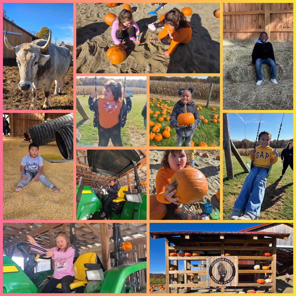 VBClassroomsMES's tweet image. Beautiful Fall day at Freedom Farms 🌻🌞🍂 #montourproud