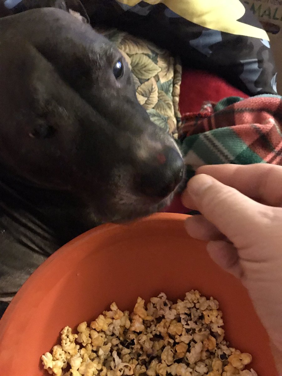 detective651's tweet photo. Edgar and I are watching @Svengoolie and having popcorn. #svengoolie #jollytime #popcorn https://t.co/UDbuyycH2S