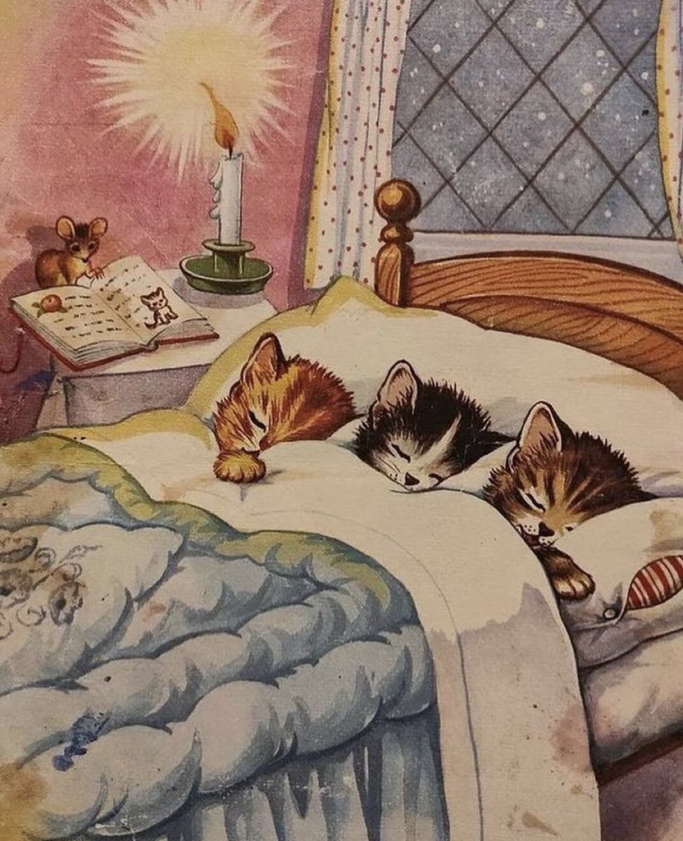 Punch Cat (@punchingcat) on Twitter photo 