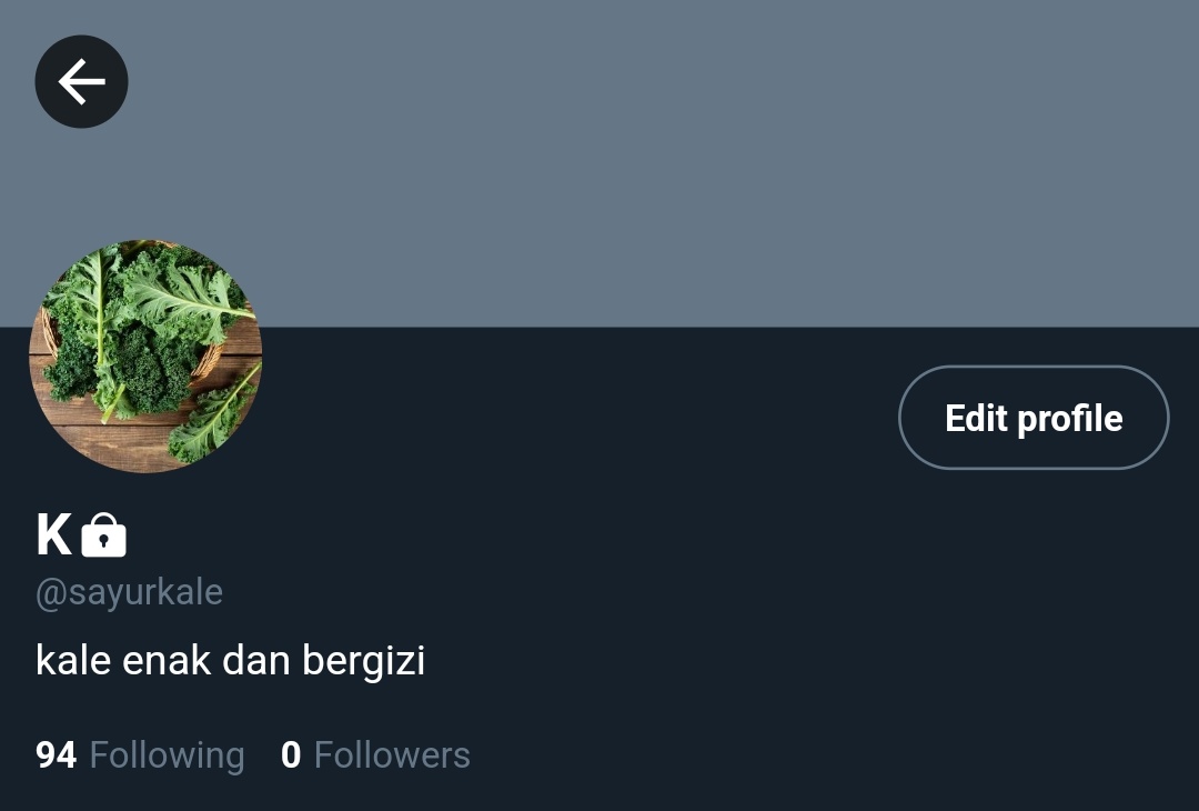 𝓬𝔂 — HIATUS tweet media