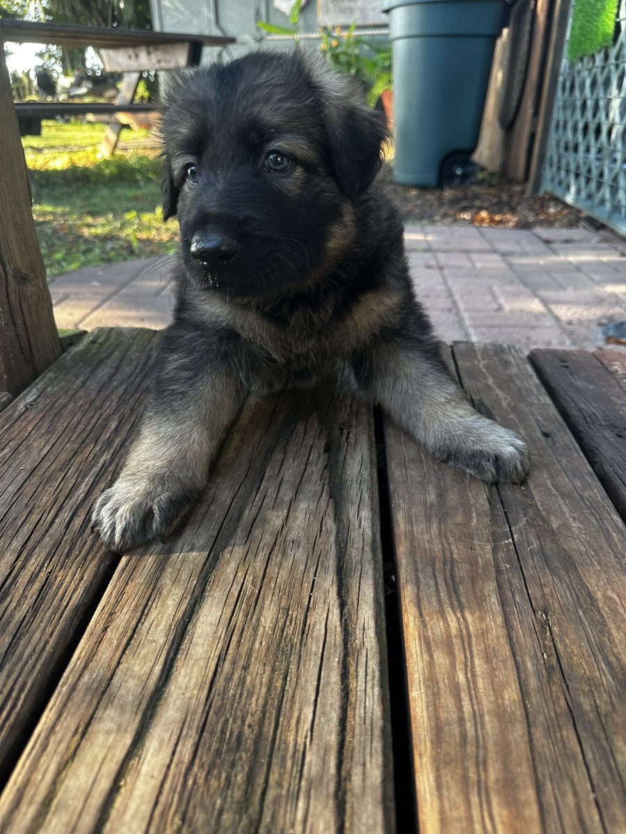 DekeShep's tweet photo. Oh no https://t.co/uM4DP091N8