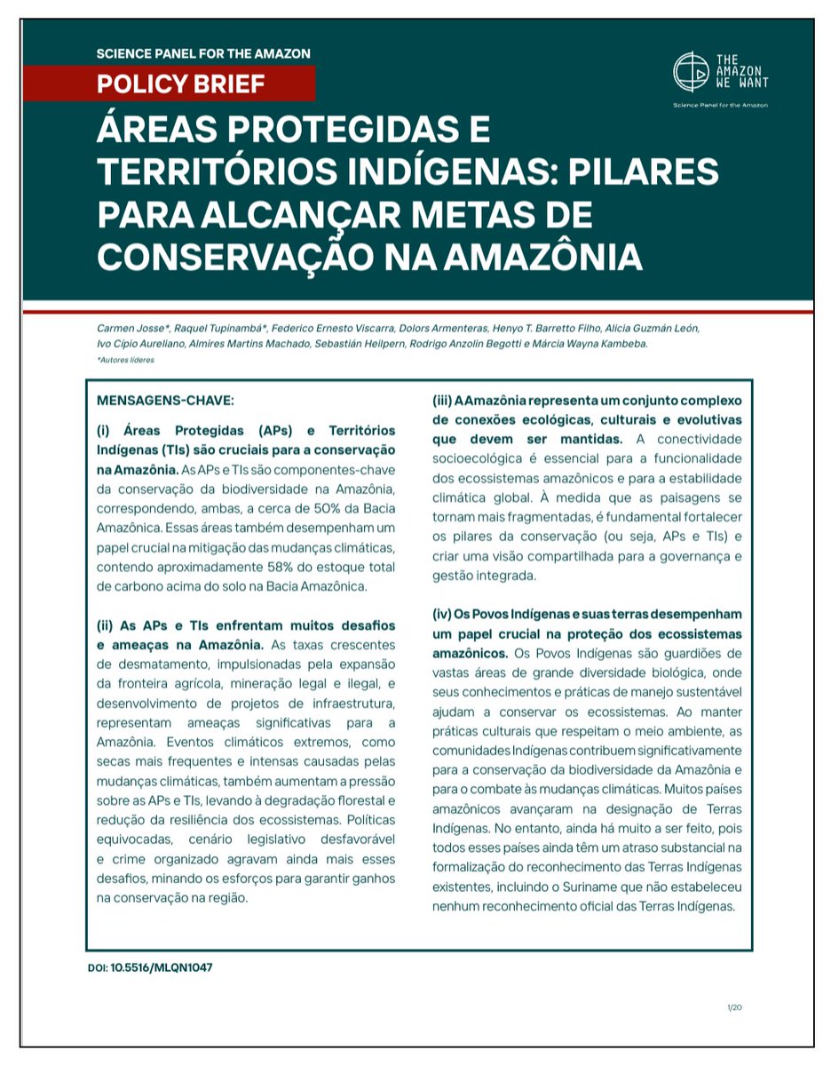 Foi ao ar hoje, durante atividade realizada pelo Painel Científico para a Amazônia na COP-16, em Cali, Colômbia, o nosso (@raqueltupynamba @ivomakuxi @ateguara <a href="/marciakambeba/">Marcia Kambeba</a> et alii) policy brief. Acesso pelo link aamazoniaquequeremos.org/spa_publicatio…. Esperamos que curtam.