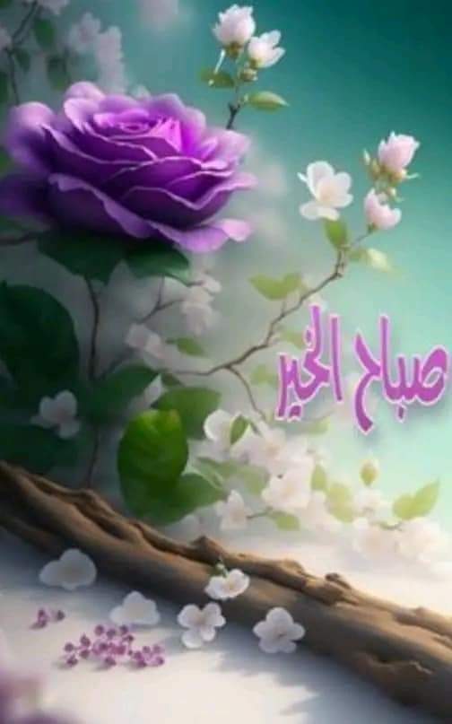 اجعل من يراك ، يدعو لمن رباك ..
فَـ نقاء القلب ليس غباء إنما فطرة يميز الله بها من أحَب ..🌺🌺🍬🌺🌺
