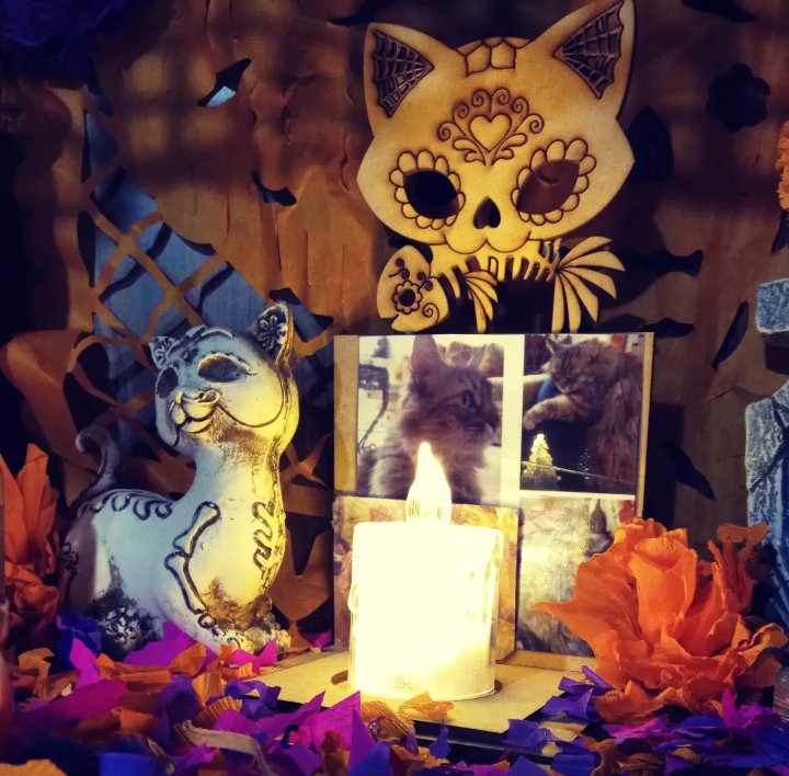 Es el primer año en que vendrás a visitarme, bebita 💛 
No pasa un día en que no me acuerde de ti, Gordi, te amo y seguiré extrañando hasta volvernos a encontrar 🫶🏻