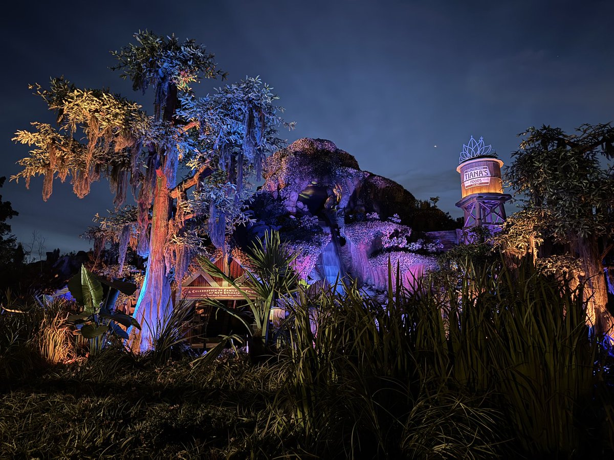 Welcome to the bayou! I’ll never get tired of this view 🥹