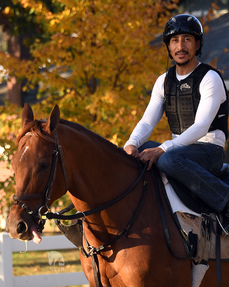 A pair of popular #NYbred gals face off in tomorrow's Empire Distaff... &amp; both looked lovely on a beautiful fall morning at #BelmontPark on the eve of the race. Sterling Silver &amp; Venti Valentine are just 2 of the stars on tomorrow's <a href="/TheNYRA/">NYRA (🗽)</a> card. Preview: tinyurl.com/mrw67yhy