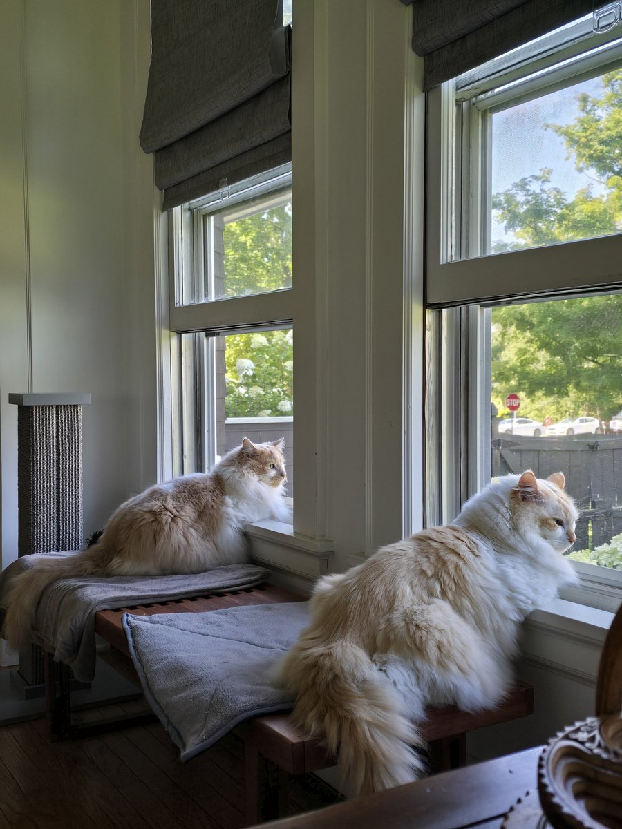 Benjamin Anderson tweet media