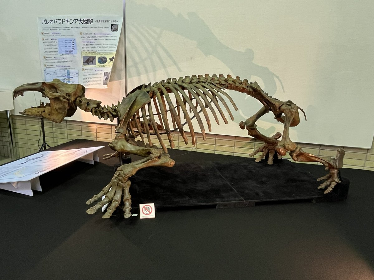 パンテオン tweet media